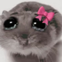 Avatar for AshyFalls