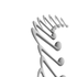 Avatar for dilpe