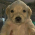 Newt240 için avatar