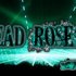 Avatar di The Dead Rose's Day