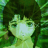 unfinishedmilk için avatar