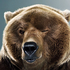 SOBEAR için avatar