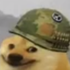 grob500 için avatar