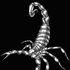 Avatar for toxsilver