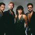 Miami Sound Machine のアバター