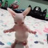 Avatar for TrashCat323