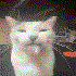 Avatar for jwababa