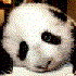 Avatar for pensive_panda