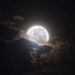Avatar di moonbreead