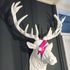 Avatar for Perodaktil