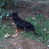 Avatar for Cicero0209