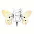 Avatar di Baby Bear