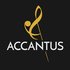 Studio Accantus 的头像
