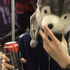 Avatar di MidnightWolf999