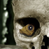 Avatar de TheShiningOne