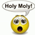Avatar for holymoIy
