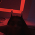 camilahnrt 的头像