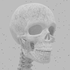 Avatar for basmannetjeee