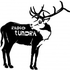 tundraradio için avatar