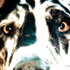 Avatar for La_graphiste