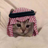 Avatar for FrknDasha