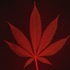Avatar for BiggSna-P