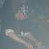 Avatar de dj hejwi