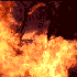Avatar for Hells71