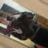 Avatar for Allison_gay