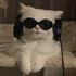 Avatar for vcutvantae