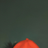 Avatar for Brbs7