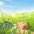 Avatar for The Cat Returns