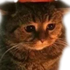 Avatar für taby654