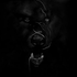 Avatar di ColtMooseBear