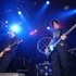 Suicide Bunnies 的头像