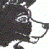ArcCollie 的头像