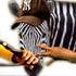 Avatar for patswerk