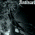 Avatar for Antinae1