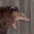 Avatar for GhostInYurToast