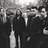 Marmozets 的头像