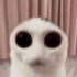 Avatar di MelissaGIrlboss