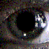 Avatar for vpaya4002