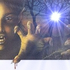 Avatar di phireweed