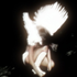 Avatar di poosay666