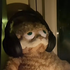 Avatar for kaylifies