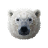 Teddiousbear 的头像