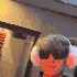 Avatar de Tronky06