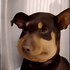 Avatar for tmpl