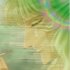 Avatar for salt.bmu