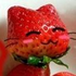 Avatar di Lilithien